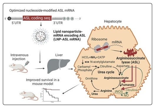 Use of Lipid Nanoparticle