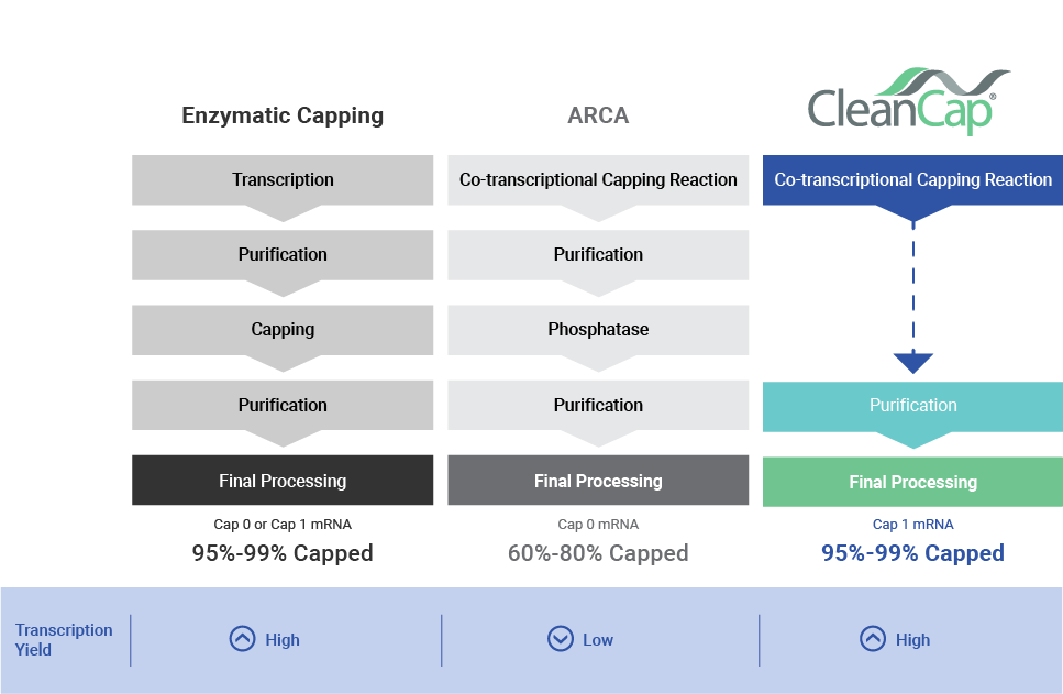 CleanCap_Chart_042723