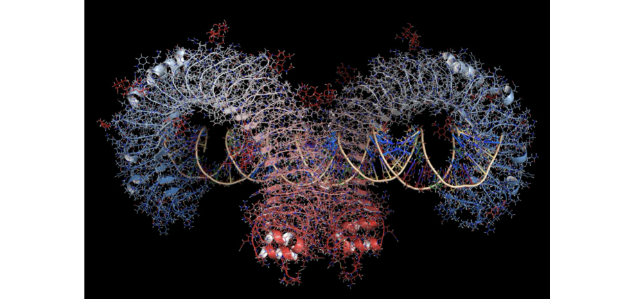 Optimizing the Performance of IVT mRNA Using N1-Methylpseudouridine (N1mΨ)—Part 1