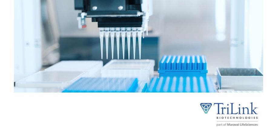 High-throughput algorithmic optimization of in vitro transcription  