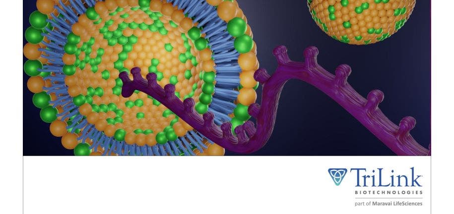 TL Advances in Delivery of mRNA by Lipid Nanoparticles 