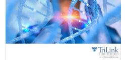 Plug-and-play assembly of biodegradable ionizable lipids for potent mRNA delivery and gene editing in vivo 
