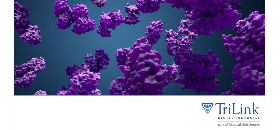 TL mRNA Therapeutic for Treatment of Argininosuccinic Aciduria, an Inherited Rare Metabolic Disorder 