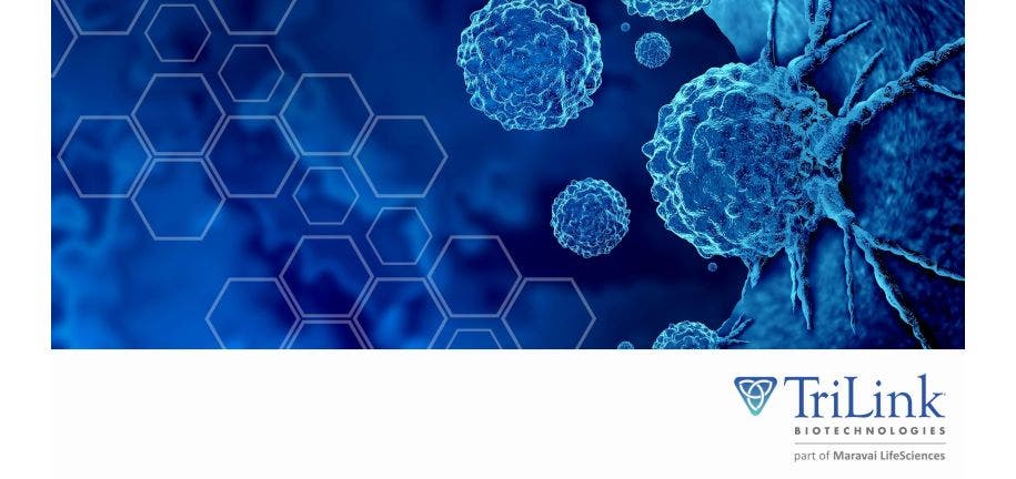 TL It’s Prime Time for mRNA in Cancer Immunotherapy Research