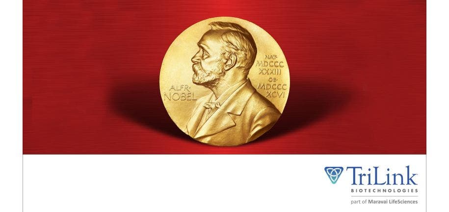 TL 2023 Nobel Prize News Spotlights Nucleoside-Modified mRNA