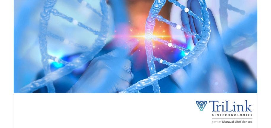 Plug-and-play assembly of biodegradable ionizable lipids for potent mRNA delivery and gene editing in vivo 