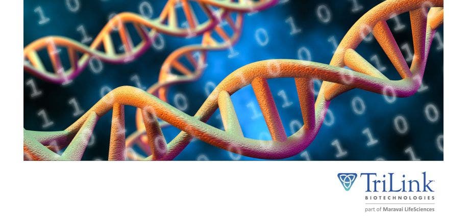 TL Digital Data Storage in DNA: Use of Modified Oligonucleotides 