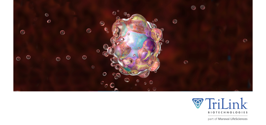 TL Toxin mRNA-Lipid Nanoparticles as a New Strategy to Treat Solid Tumors