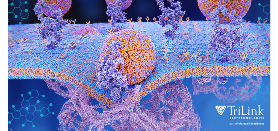 TL Four Notable RNA Topics and Themes Rounding out 2021