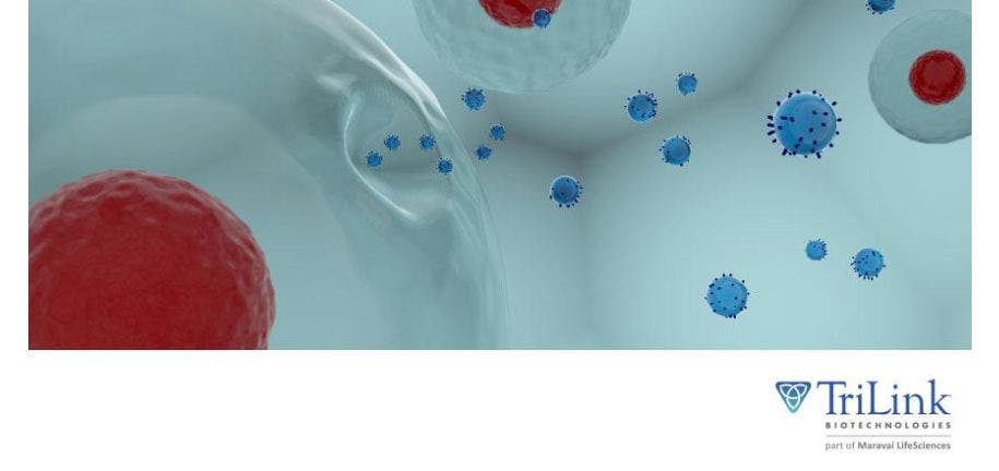 Exosomes Advance from Biological Curiosities to Preclinical Applications 