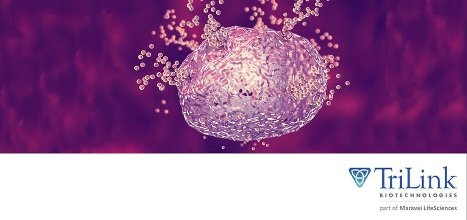 TL mRNA Vaccine for Protection Against Peanut Allergy Anaphylaxis