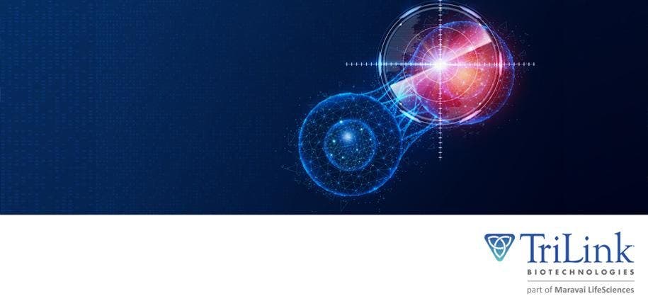 TL Targeted Delivery of mRNA Therapeutics—4 Recent Examples