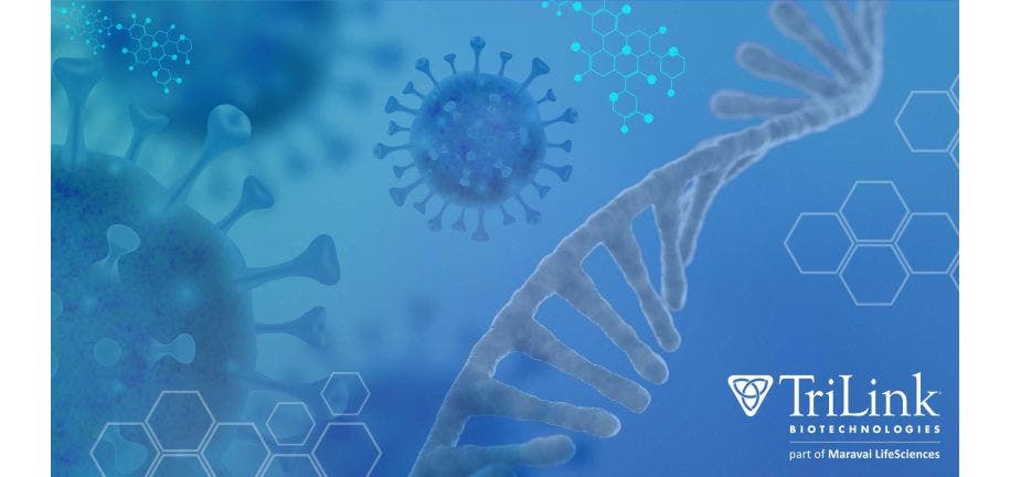 TL Beyond COVID-19: The Next Wave of Promising Applications for mRNA Vaccines