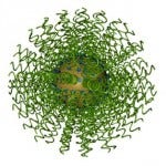 SNA