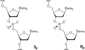 Generalized molecular structure of SP and RP PS-DNA linkages (taken from RS Phosphorothioates Wikipedia).