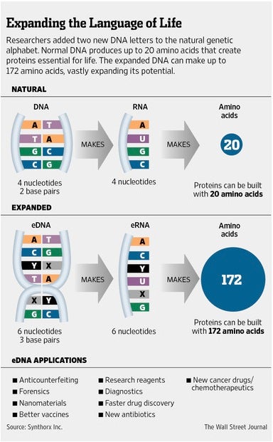 dna