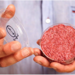 Synthetic beef that’s truly a “burger in a Petri dish.” Taken from theguardian.com.