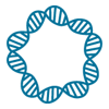 Plasmid_Preparation_4C_100x100_1_