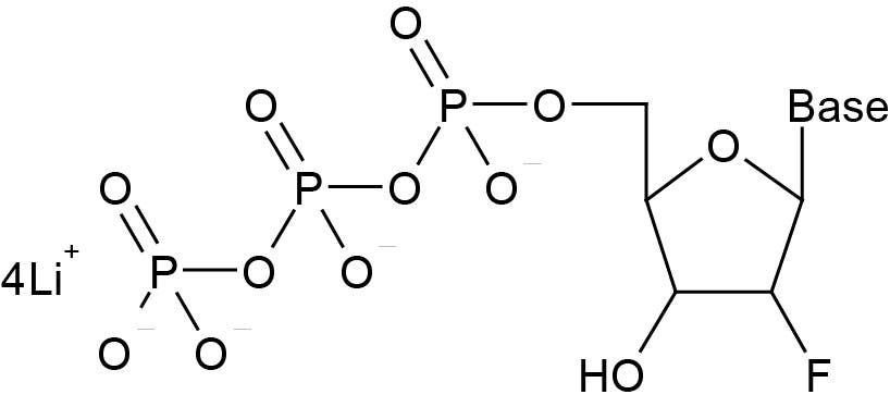 K-1011