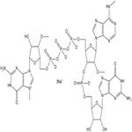 CleanCap<sup>®</sup> Reagent M6
