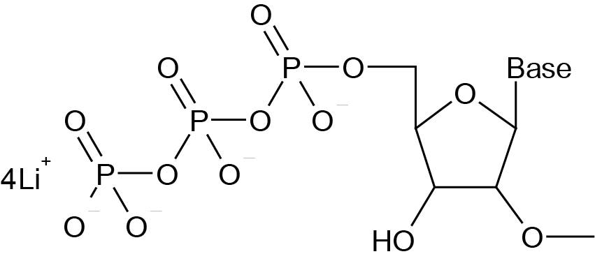 K-1012