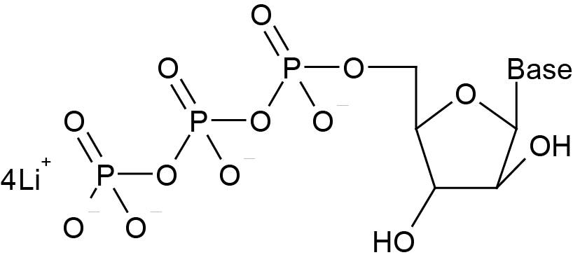 K-1009