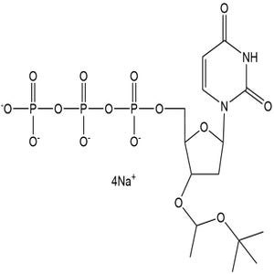 CleanAmp<sup>®</sup> dUTP