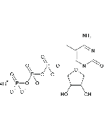 5-Methylcytidine-5'-Triphosphate