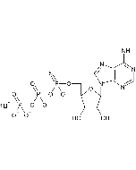 Adenosine-5'-O-(1-Thiotriphosphate)