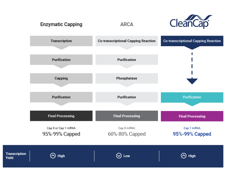 CleanCap_Chart_720x575