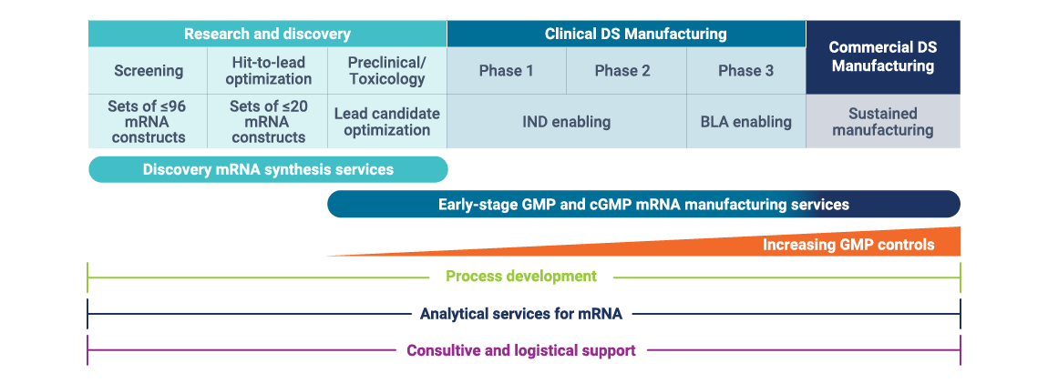 2409_TL_mRNA_CDMO_Services_overview_image_091624_420x1150