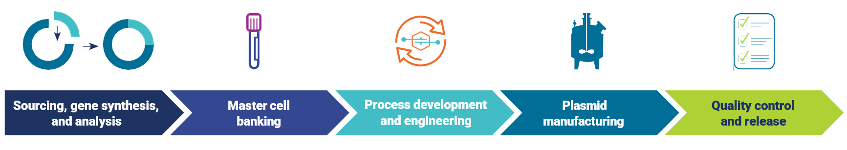 Plasmid_Production_1__1_