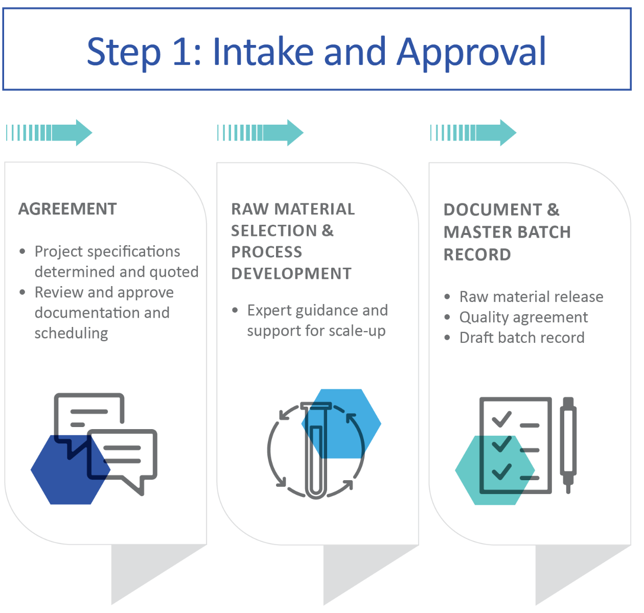 Image of a chart that demonstrates the process flow of the first steps in a GMP project.