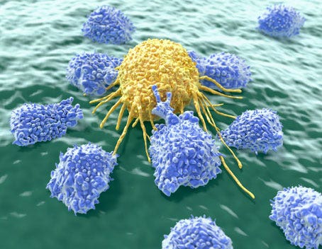 Lymphocytes attacking cancer cell