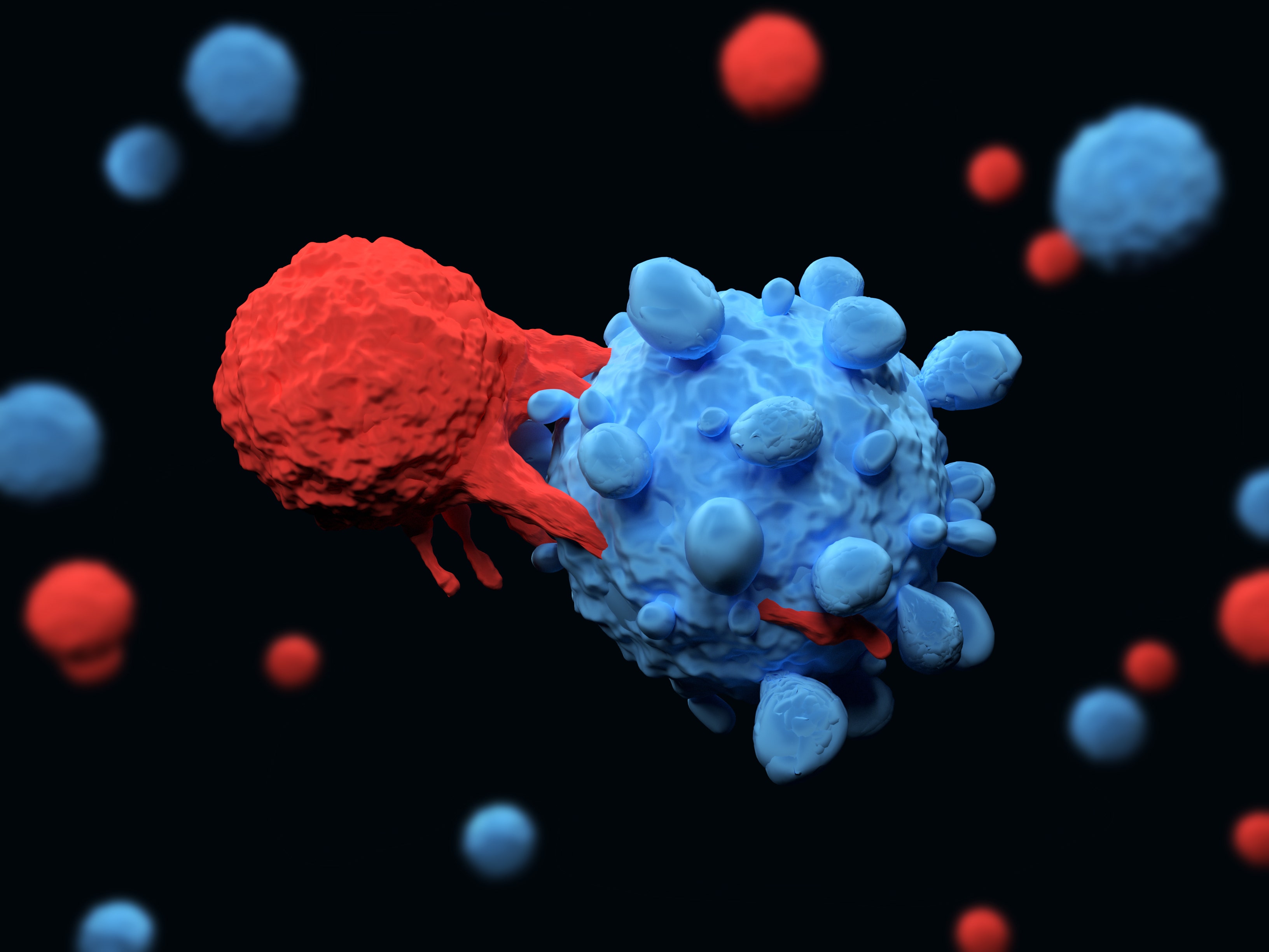 3d illustration of an immune system T cell killing a cancer cell