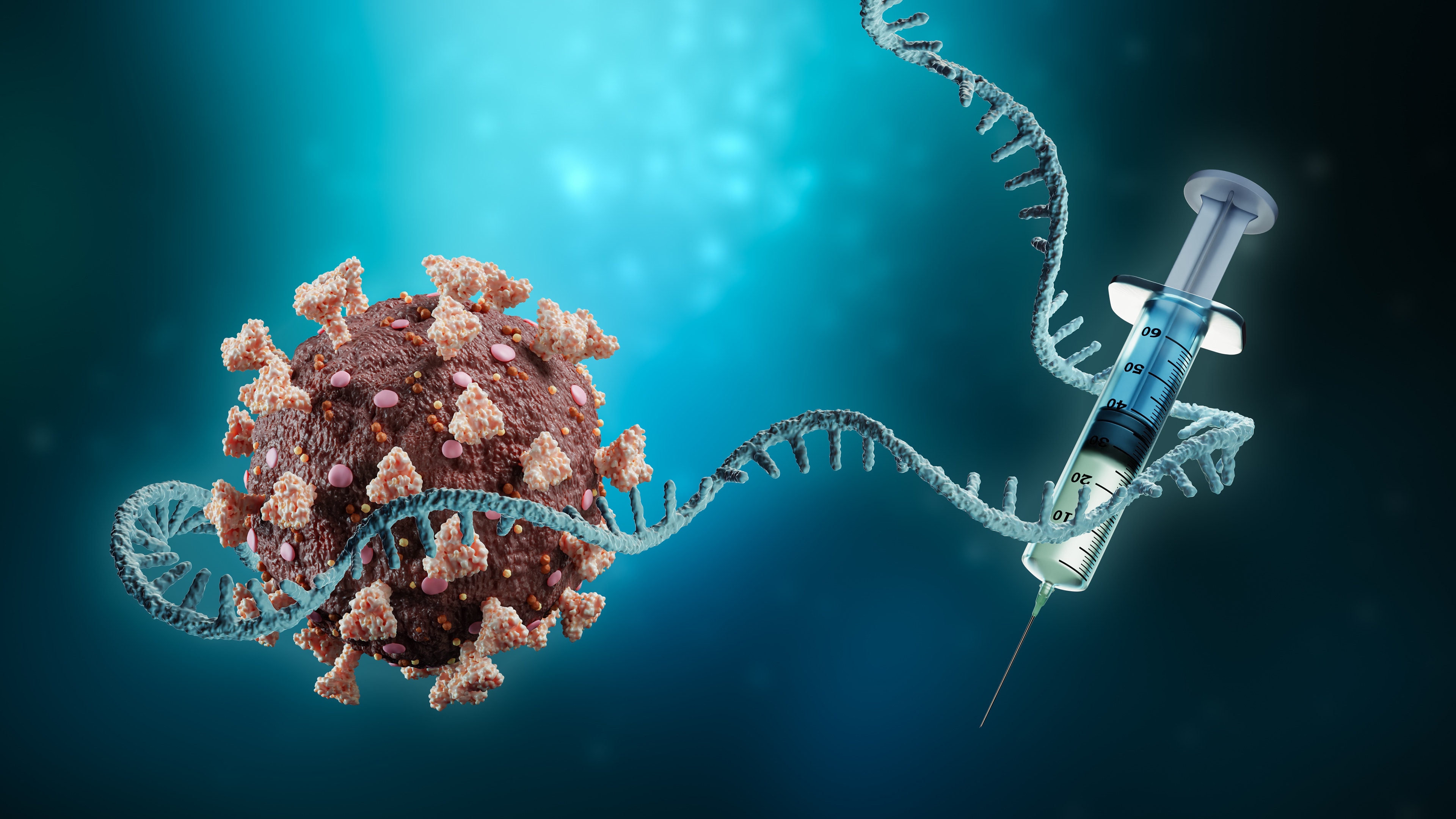 Coronavirus or sars-cov-2 virus cell with mRNA