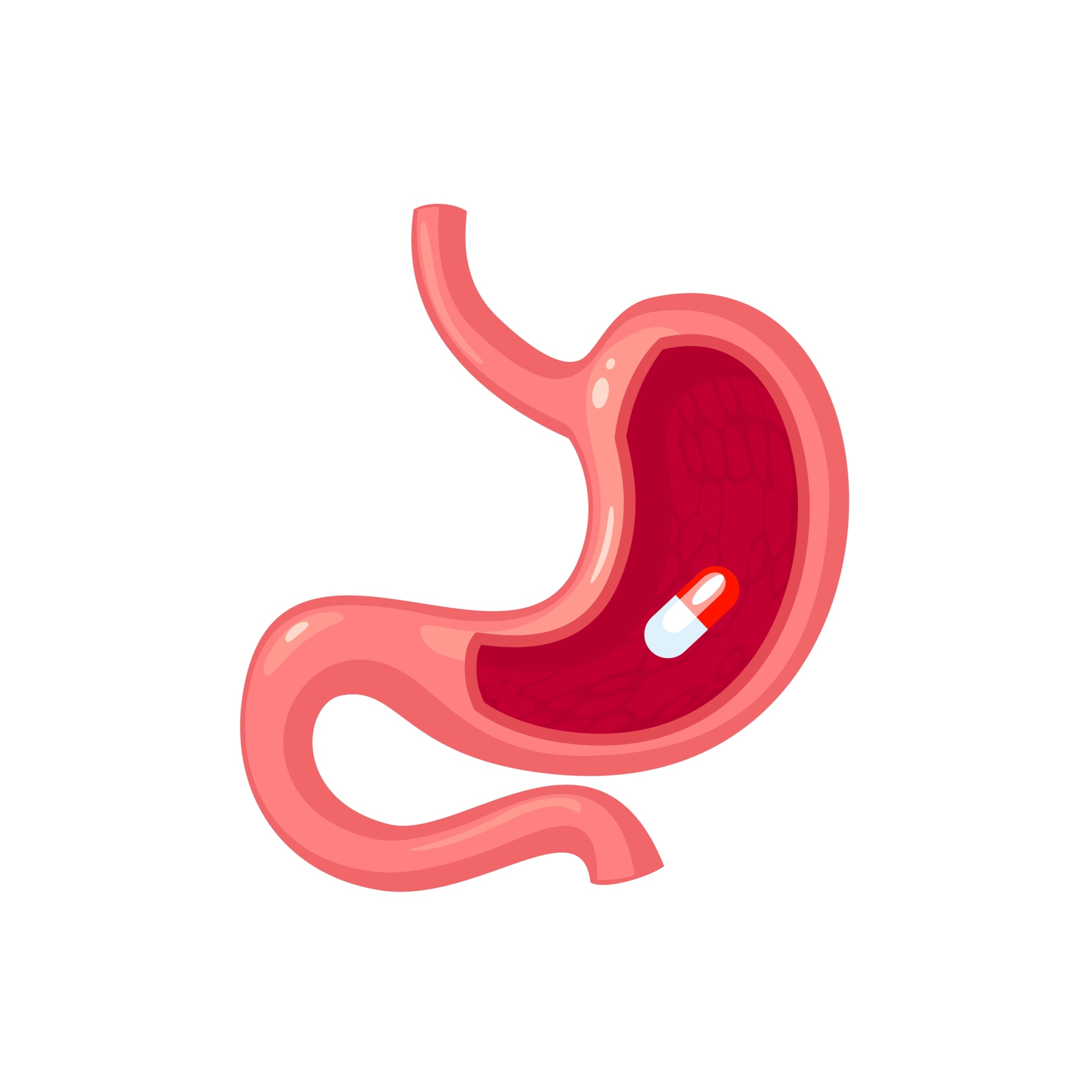 Pill in human stomach. 