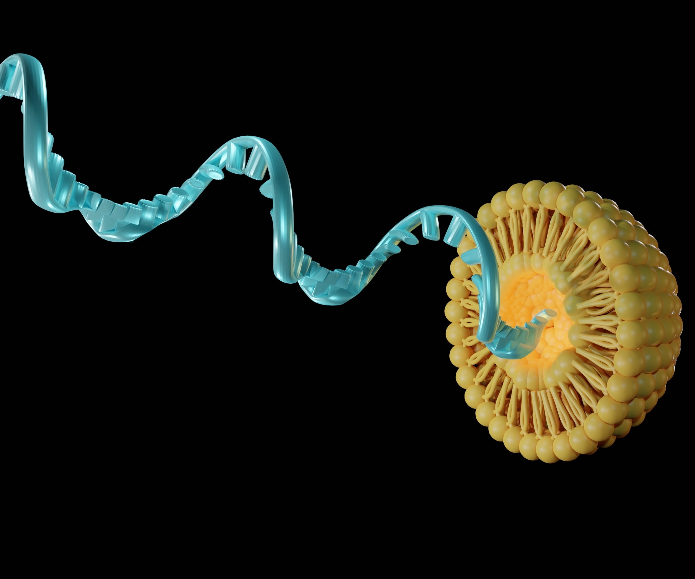 Liposomes are used to efficiently deliver cargo molecules such as siRNA, mRNA, or RNA into cells in vitro and in vivo 3d rendered