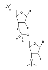2' Fluoro RNA
