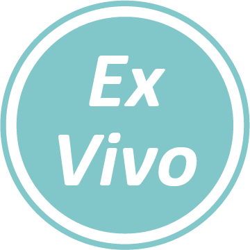ex-vivo
